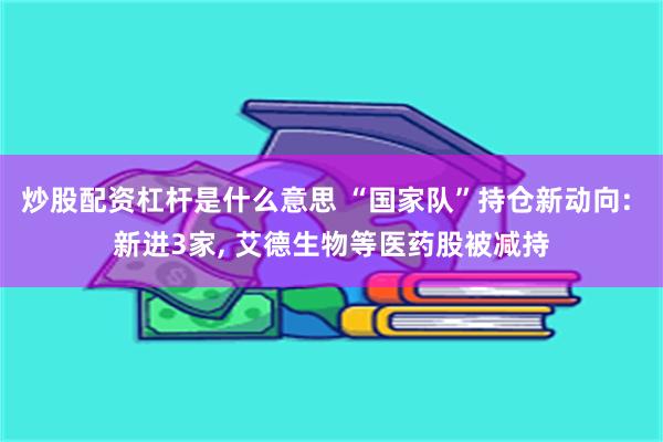 炒股配资杠杆是什么意思 “国家队”持仓新动向: 新进3家, 艾德生物等医药股被减持