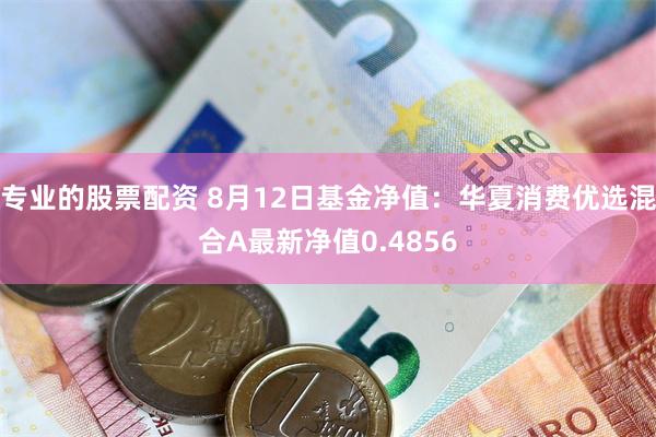 专业的股票配资 8月12日基金净值：华夏消费优选混合A最新净值0.4856