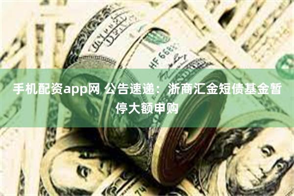 手机配资app网 公告速递：浙商汇金短债基金暂停大额申购