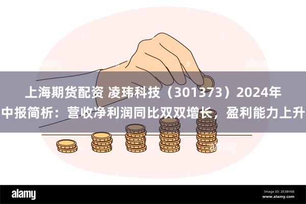 上海期货配资 凌玮科技（301373）2024年中报简析：营收净利润同比双双增长，盈利能力上升