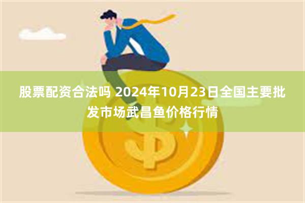 股票配资合法吗 2024年10月23日全国主要批发市场武昌鱼价格行情