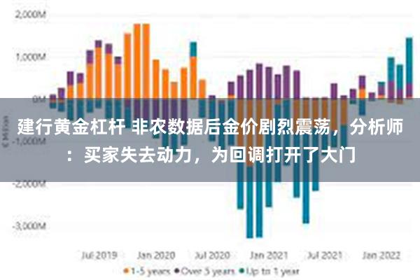 建行黄金杠杆 非农数据后金价剧烈震荡，分析师：买家失去动力，为回调打开了大门