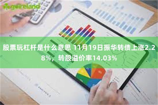 股票玩杠杆是什么意思 11月19日振华转债上涨2.28%，转股溢价率14.03%